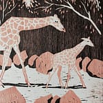 A pink and black woodcut of a giraffe with a baby giraffe walking to the right with branches about by artist Josonia Palaitis