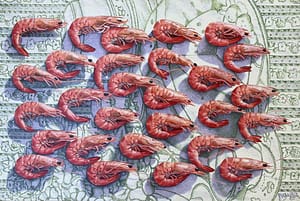 Photorealist oil painting by Josonia Palaitis depicting an arrangement of prawns all facing towards the right and viewed from above resting on a green and white tablecloth