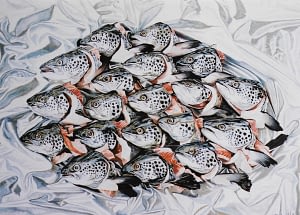 Photorealistic oil painting by Josonia Palaitis depicting 15 salmon heads arranged on silver foil looking to the left