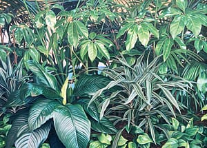 Oil painting by Josonia Palaitis featuring a lushious array of green plants in photorealistic style with the hint of an ocean horizon in the background through the leaves