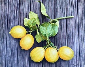 An photorealist oil painting by Josonia Palaitis depicting a small branch from a lemon tree resting on old timber decking with 5 ripe yellow lemons attached