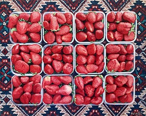 Phototrealist oil painting by Josonia Palaitis depicting 12 punnets of strawberries arranged symmetrically on a persian rug and viewed from above