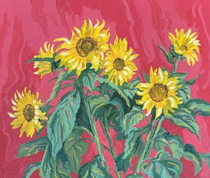 Still life oil Painting by Josoina Palaitis depicting sunflowers in front of a pink background