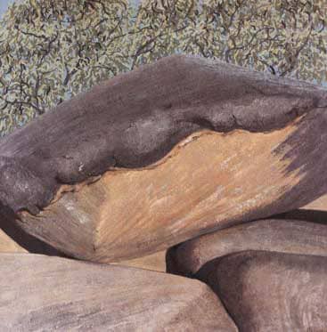 Oil painting by Josonia Palaitis depicting a large boulder with leaves behind